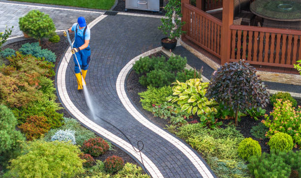 Best Pressure Washing Near Me  in Rainbow Lakes, NJ
